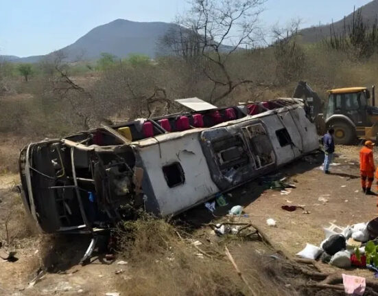برازیل میں زائرین کی بس کو حادثہ، 15 افراد ہلاک