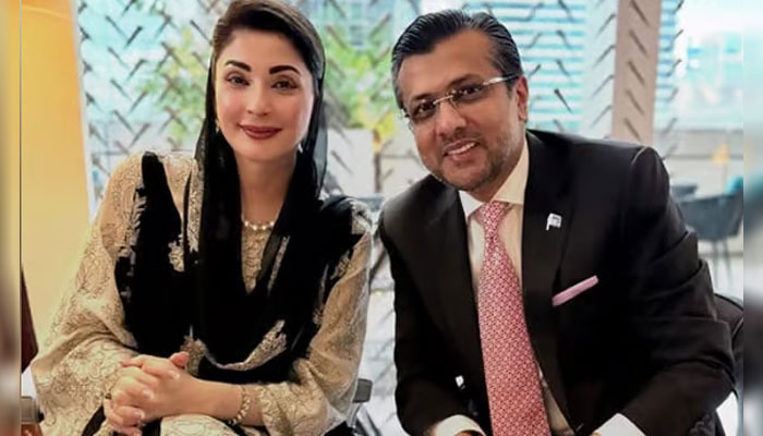 اسحاق ڈار کے بیٹے کو اہم ذمہ داری سونپ دی گئی، جانیں تفصیلات