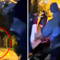 اسلام آباد میں افسوسناک واقعہ:ڈولفن اسکواڈ کے اہلکاروں کا میاں بیوی پر تشدد، ویڈیو سامنے آ گئی