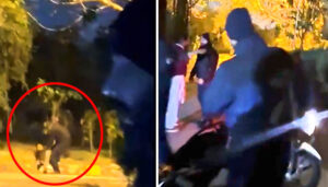 اسلام آباد میں افسوسناک واقعہ:ڈولفن اسکواڈ کے اہلکاروں کا میاں بیوی پر تشدد، ویڈیو سامنے آ گئی