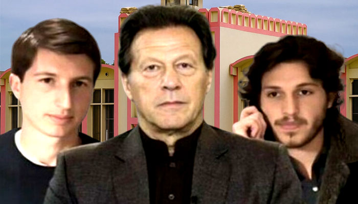 عمران خان کے بیٹوں کا ویزا کیوں منسوخ ہوا؟ حقائق نے سب کو حیران کر دیا