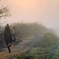 آئندہ 24 گھنٹوں میں بارش ہوگی؟ محکمۂ موسمیات نے پیشگوئی کر دی