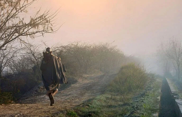 آئندہ 24 گھنٹوں میں بارش ہوگی؟ محکمۂ موسمیات نے پیشگوئی کر دی