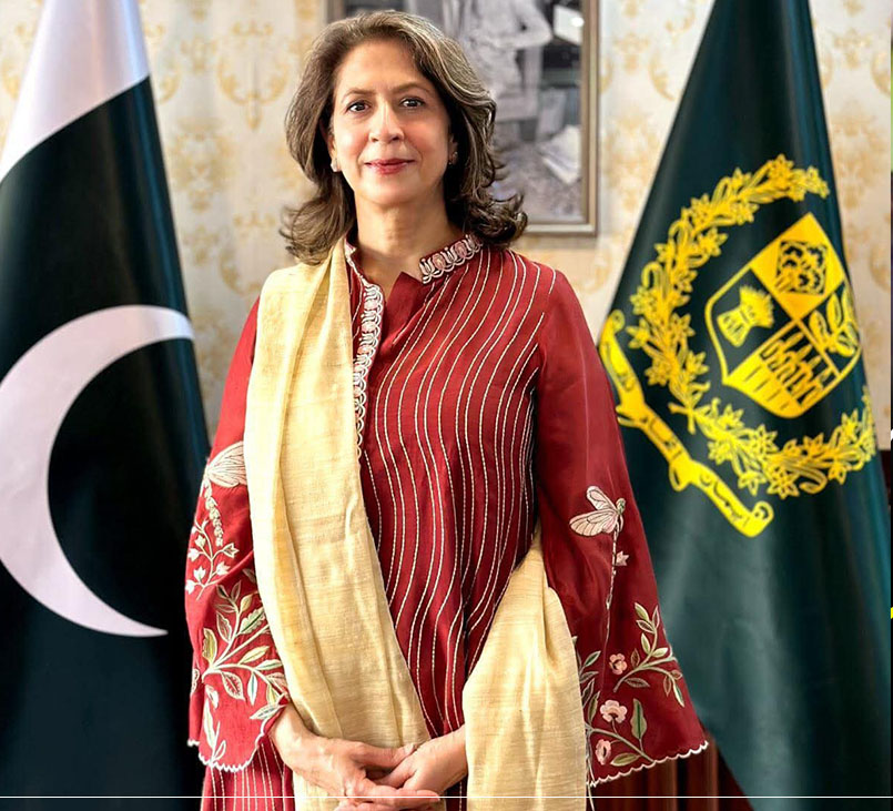 صدر زرداری کی منظوری کے بعد عنبرین جان کی پیمرا چیئرپرسن کے طور پر نئی شروعات