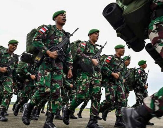 انڈونیشیا نے غزہ میں امن مشن کے لیے 8 ہزار فوجی بھیجنے کا اعلان