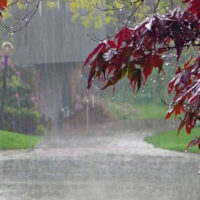 وقفے وقفے سے بارش! سلسلہ کب تک جاری رہے گا؟ محکمہ موسمیات نے شہریوں کو نوید سنادی