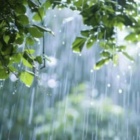 موسم نے پلٹا کھایا!آج سے 30 مارچ کے دوران ملک میں تیز ہواؤں اور گرج چمک کیساتھ بارش کی پیشگوئی