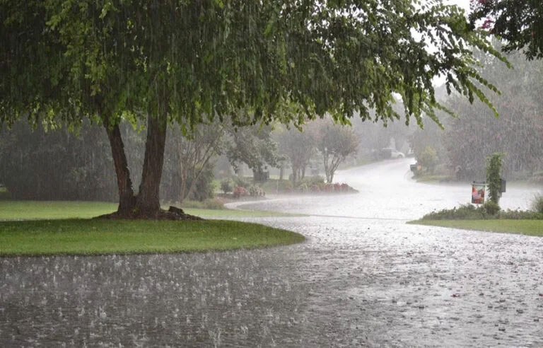 آج سے 12 مارچ تک گرج چمک کیساتھ بارش،محکمہ موسمیات نے شہریوں کو نوید سنا دی