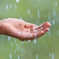 گئی سردی پھر لوٹ آئی! بارش کا سلسلہ کب تک جاری رہے گا؟ محکمہ موسمیات نے پیشگوئی کر دی