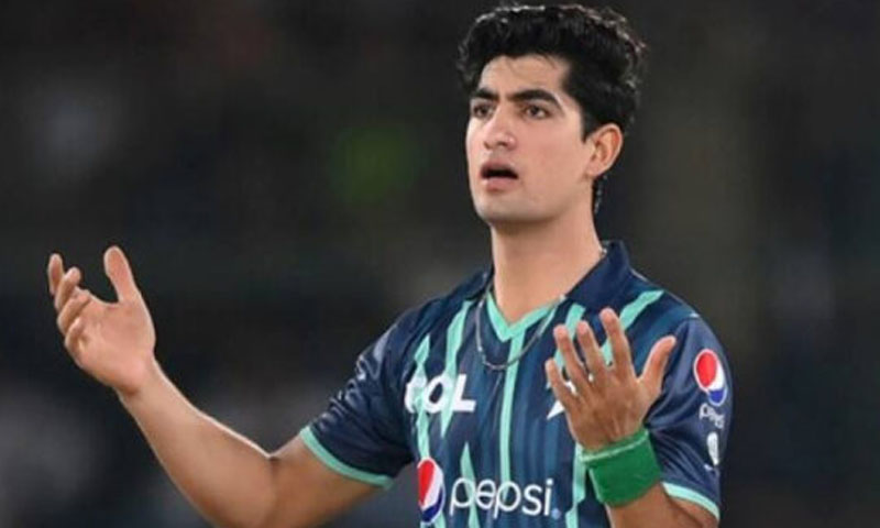 مریم نواز کے خلاف ٹوئٹ کا معاملہ، نسیم شاہ نے معافی مانگ لی