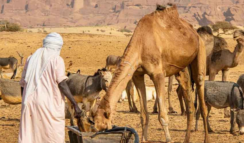 کنویں کا پانی موت کا سبب بن گیا، کنویں کے پانی پر لڑائی میں 42 افراد جاں بحق، متعدد زخمی