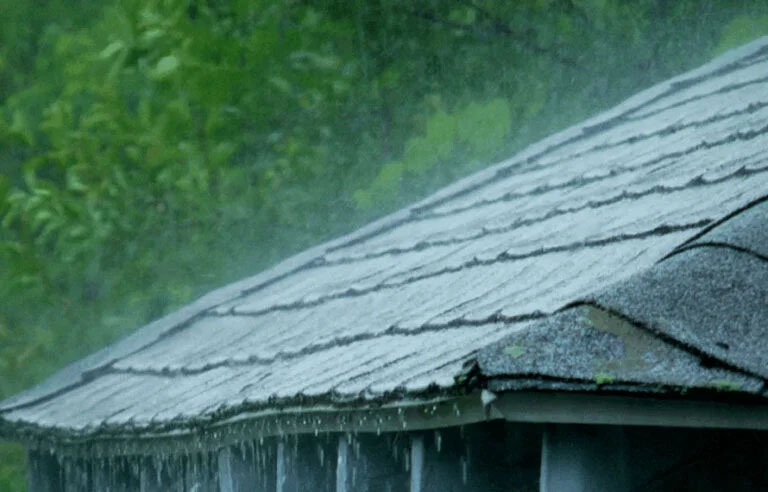 ملک بھر میں گرج چمک کیساتھ مزید بارش اور برفباری، محکمہ موسمیات نے پیشگوئی کردی