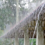 بادل چھائیں گے یا دھوپ نکلے گی؟ آئندہ 24 گھنٹوں کا موسم کیسا رہے گا؟ محکمہ موسمیات نے پیشگوئی کر دی