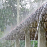 بادل چھائیں گے یا دھوپ نکلے گی؟ آئندہ 24 گھنٹوں کا موسم کیسا رہے گا؟ محکمہ موسمیات نے پیشگوئی کر دی