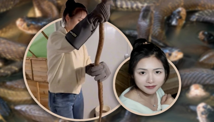 60 ہزار سانپوں کو پال کر سالانہ 4 کروڑ روپے سے زائد کمانے والی خاتون