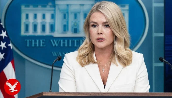 دنیا نے مان لیا!بڑی سفارتی کامیابی کا اعتراف! جنگ بندی میں پاکستان کا کردار، امریکا نے بھی تعریف کر دی