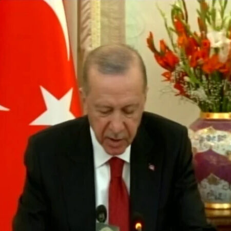 پاکستان ثالثی نہ کرتا تو ترکیہ اسرائیل پر حملہ کردیتا؟ اردوان کی ویڈیو وائرل