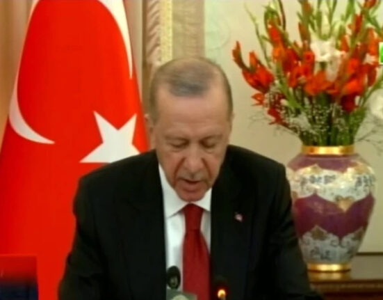 پاکستان ثالثی نہ کرتا تو ترکیہ اسرائیل پر حملہ کردیتا؟ اردوان کی ویڈیو وائرل