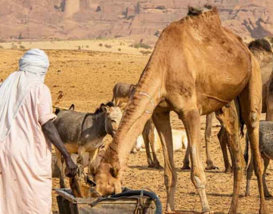 کنویں کا پانی موت کا سبب بن گیا، کنویں کے پانی پر لڑائی میں 42 افراد جاں بحق، متعدد زخمی