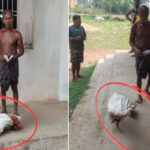 رقم نکلوانے کا معاملہ: بہن کی موت کا ثبوت دینے کیلئے بھائی قبر سے ڈھانچہ لیکر بینک پہنچ گیا