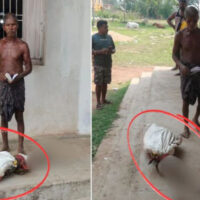 رقم نکلوانے کا معاملہ: بہن کی موت کا ثبوت دینے کیلئے بھائی قبر سے ڈھانچہ لیکر بینک پہنچ گیا