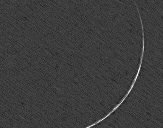 متحدہ عرب امارات میں عیدالاضحیٰ کب ہوگی؟ متوقع تاریخ سامنے آگئی