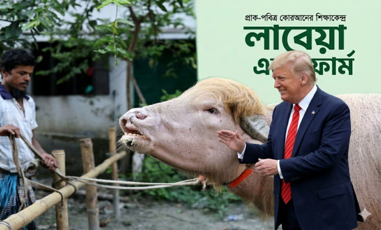 بنگلہ دیش میں ’ڈونلڈ ٹرمپ‘ نامی نایاب سفید بھینسا عید پر قربانی سے بچ گیا