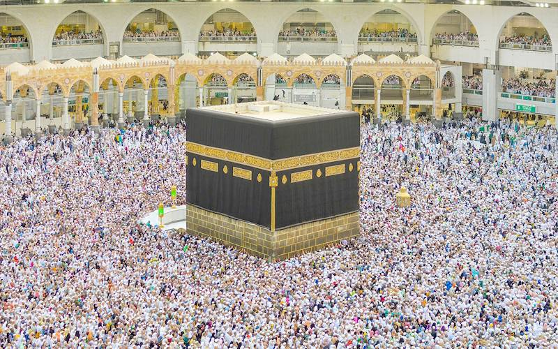 207 پروازوں کے ذریعے 52 ہزار 195 عازمین حج حجازمقدس پہنچ گئے