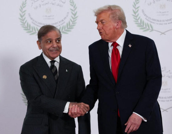 امریکا نے عالمی تجارت میں پاکستان کے کردار کو اہم قرار دیدیا
