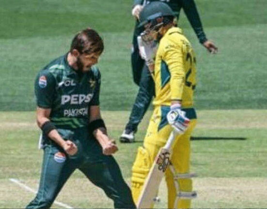 پاکستان اور آسٹریلیا میں فیصلہ کن ٹکراؤ، تیسرا ون ڈے کب اور کہاں کھیلا جائیگا؟تفصیلات سامنے آگئیں