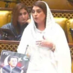 ایک صوبے کا نام نواز اور ملک کا نام شریفستان رکھ لیں، رولا ہی مکائیں! ایم پی اے صائمہ کنول کا طنز