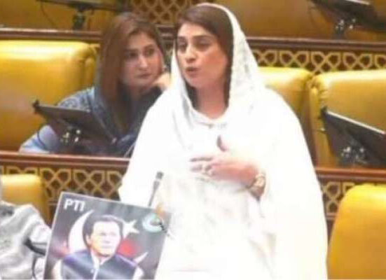 ایک صوبے کا نام نواز اور ملک کا نام شریفستان رکھ لیں، رولا ہی مکائیں! ایم پی اے صائمہ کنول کا طنز