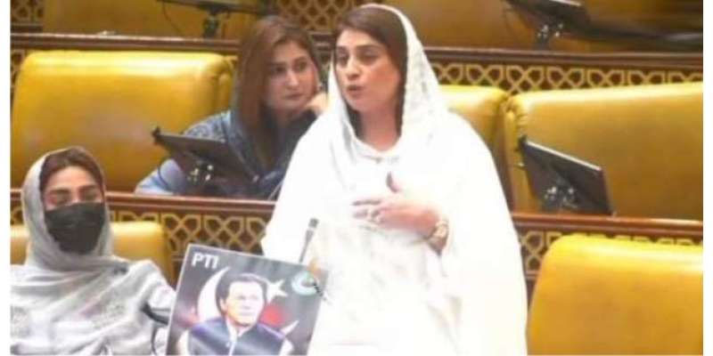 ایک صوبے کا نام نواز اور ملک کا نام شریفستان رکھ لیں، رولا ہی مکائیں! ایم پی اے صائمہ کنول کا طنز