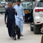 وسیم اکرم کا لاپتا کتا مل گیا، اطلاع دینے والے 2 افراد کو 250,000 روپے انعام