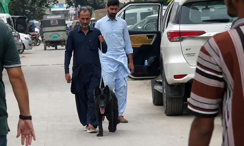وسیم اکرم کا لاپتا کتا مل گیا، اطلاع دینے والے 2 افراد کو 250,000 روپے انعام