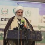 راجہ ناصر عباس