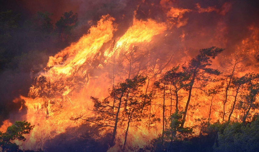 بوسنیا کے جنگلات میں لگی آگ