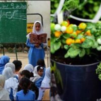 محکمہ تعلیم کی سخت ہدایات