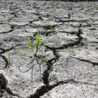 اگست 2026 انسانی تاریخ کا گرم ترین مہینہ قرار