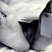 ”مجھے بیٹے کی قبر میں ہی دفن کرنا“ دلبرداشتہ ماں نے بھی زندگی کا خاتمہ کرلیا