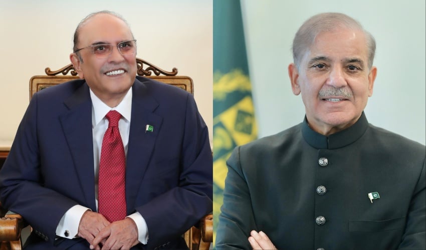 شاہینوں نے فیصلہ کن کردار ادا کیا: صدر، وزیراعظم