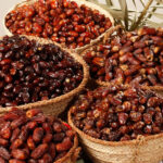 پاکستانی کھجور کی عالمی منڈیوں تک رسائی