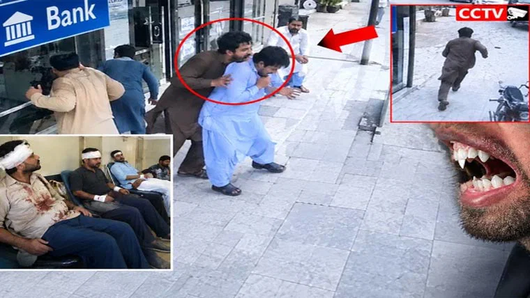 سانگھڑ میں انسان نے 4 افراد کو کاٹ لیا