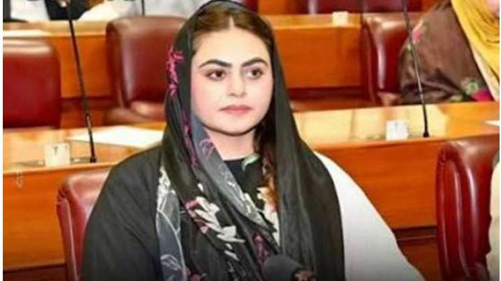 5 لاکھ 20 ہزار تنخواہ میں گزارا نہیں ہوتا، 10 لاکھ ہونی چاہیے، ن لیگی ایم این اے شمائلہ رانا کا مطالبہ